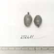 Click for 1 image(s) for this accession. FRUIT